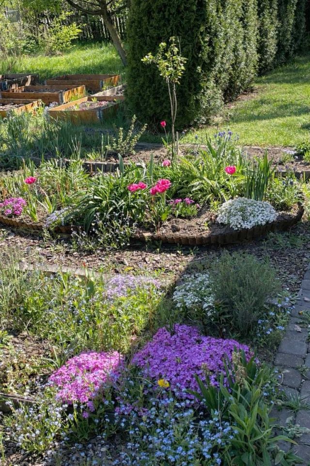 Działka rod Końskie. Zdjęcie 2