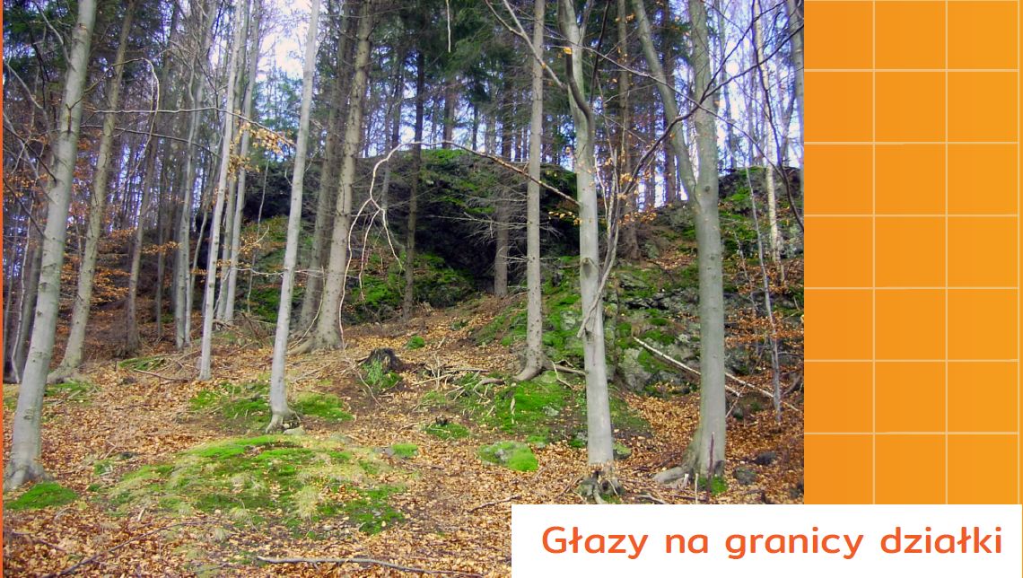 Działka budowlana Jarkowice. Zdjęcie 11