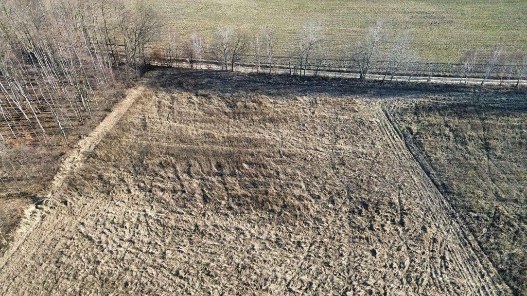 Działka budowlana Lipsko-Polesie. Zdjęcie 2