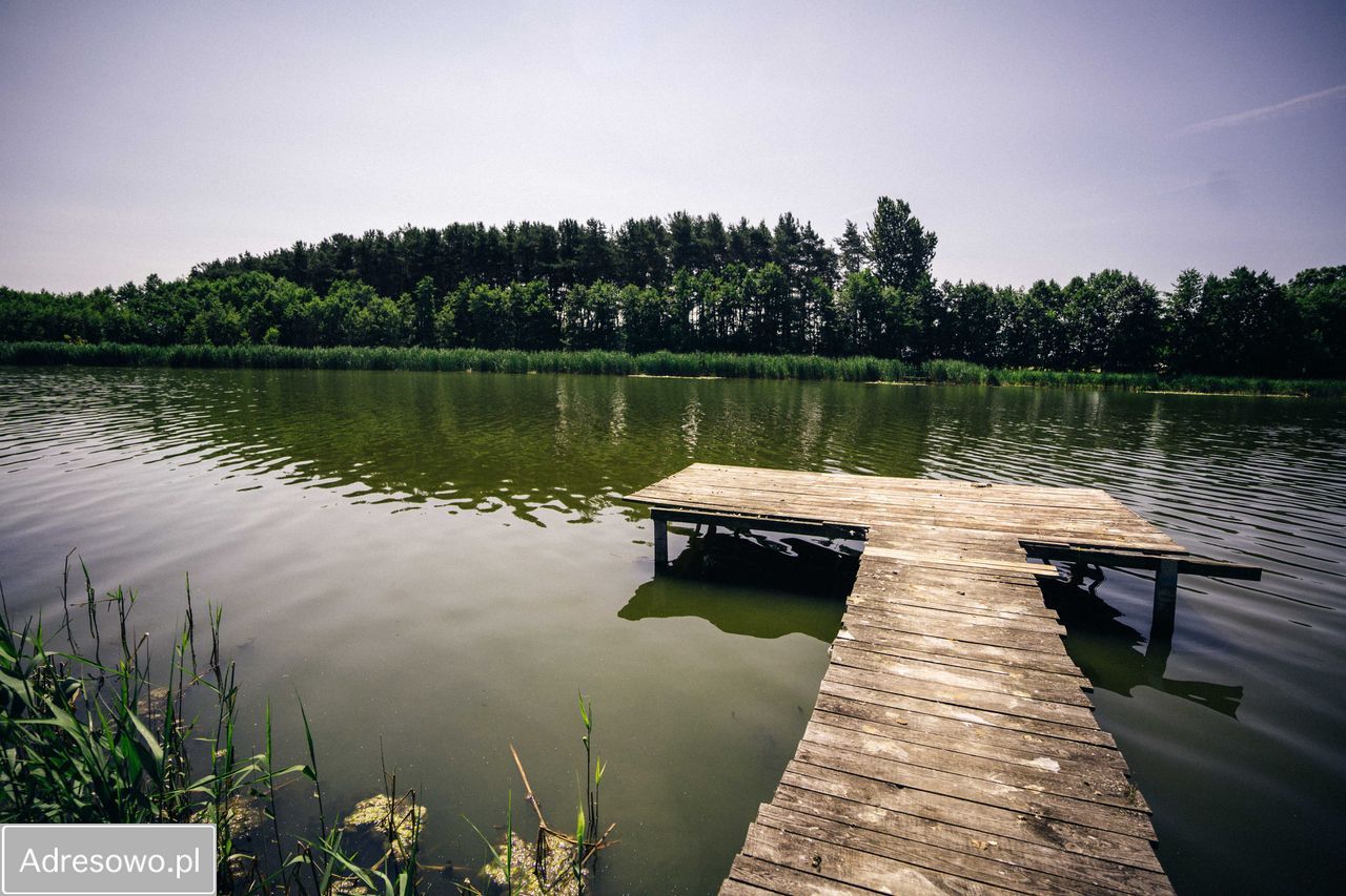 Działka rekreacyjna Perkowo. Zdjęcie 2