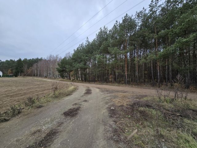 Działka rolna Drogosław. Zdjęcie 12