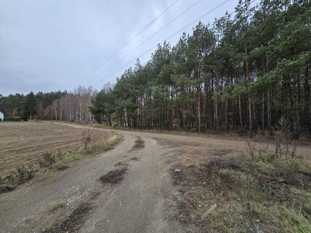 Działka rolna Drogosław. Zdjęcie 12