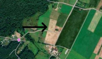 Działka rolno-budowlana Rajgród Zabród, ul. Zabród