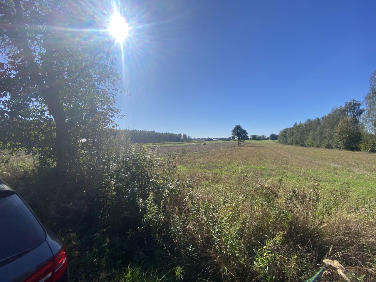 Działka rolna Stawki Zofiówka. Zdjęcie 6