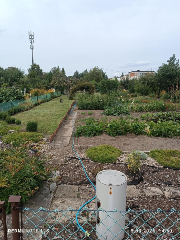 Działka rekreacyjna Pleszew, ul. Wierzbowa. Zdjęcie 8