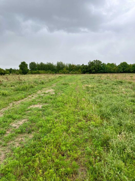 Działka budowlana Czerwonka-Parcel. Zdjęcie 6