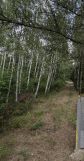 Działka na sprzedaż bez pośredników 
 
 Sarzyna - Więcej