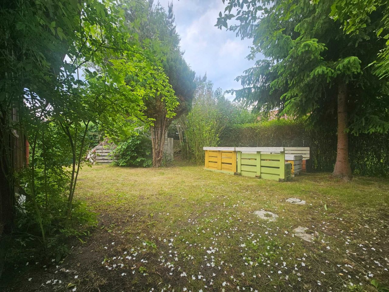 Działka rod Rzeszów. Zdjęcie 7