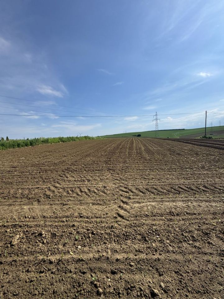 Działka rolna Żurawica Bażantarnia. Zdjęcie 2