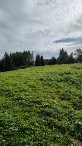 Działka rolna Brzuska. Zdjęcie 8