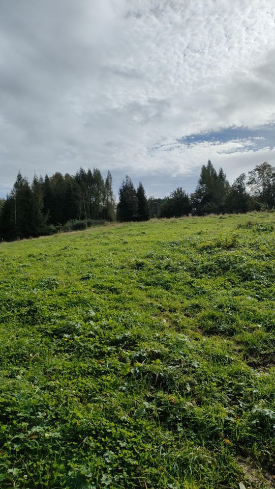 Działka rolna Brzuska. Zdjęcie 8