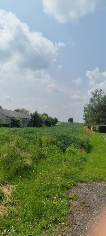 Działka budowlana Krzak. Zdjęcie 4