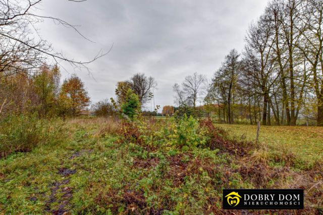 siedlisko, 3 pokoje Knorydy. Zdjęcie 20