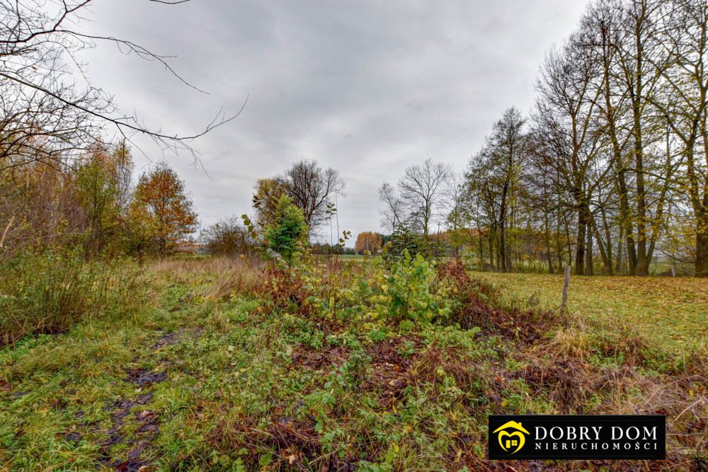 siedlisko, 3 pokoje Knorydy. Zdjęcie 20