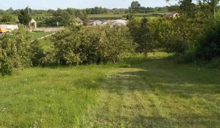 Działka rolno-budowlana Zawichost, ul. Podgórze