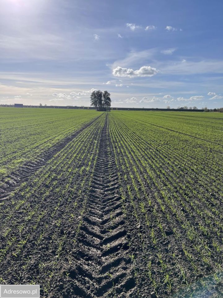 Działka inwestycyjna Karnin, ul. Lubuska. Zdjęcie 3