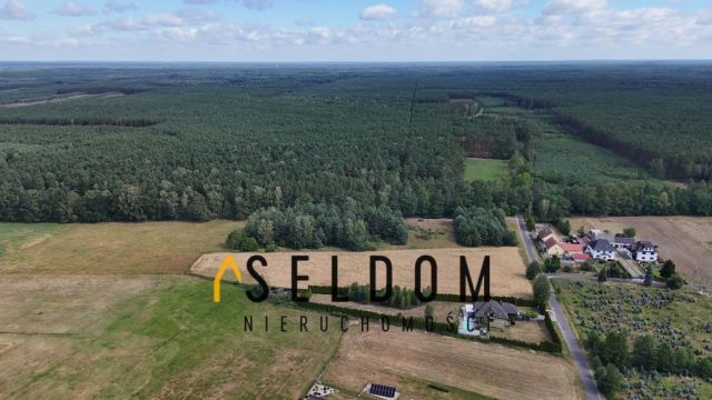 Działka rekreacyjna Dąbrówka Łubniańska. Zdjęcie 3