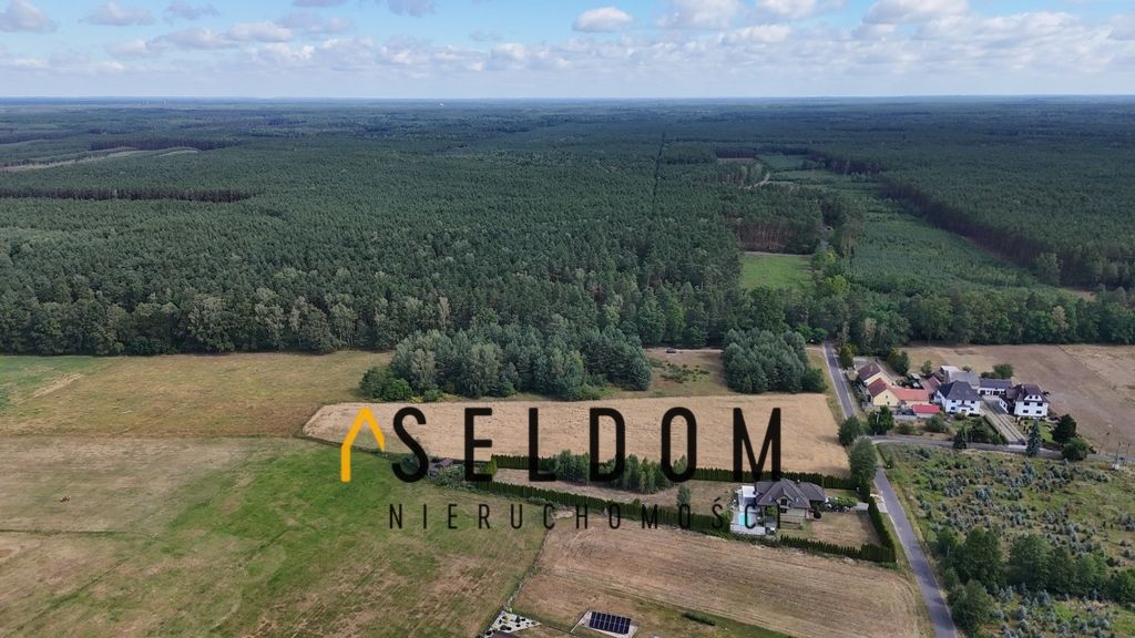 Działka rekreacyjna Dąbrówka Łubniańska. Zdjęcie 3
