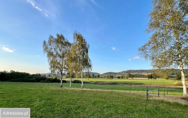 Działka budowlana Janowice Wielkie, ul. Chłopska. Zdjęcie 1
