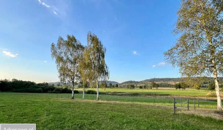 Działka budowlana Janowice Wielkie, ul. Chłopska