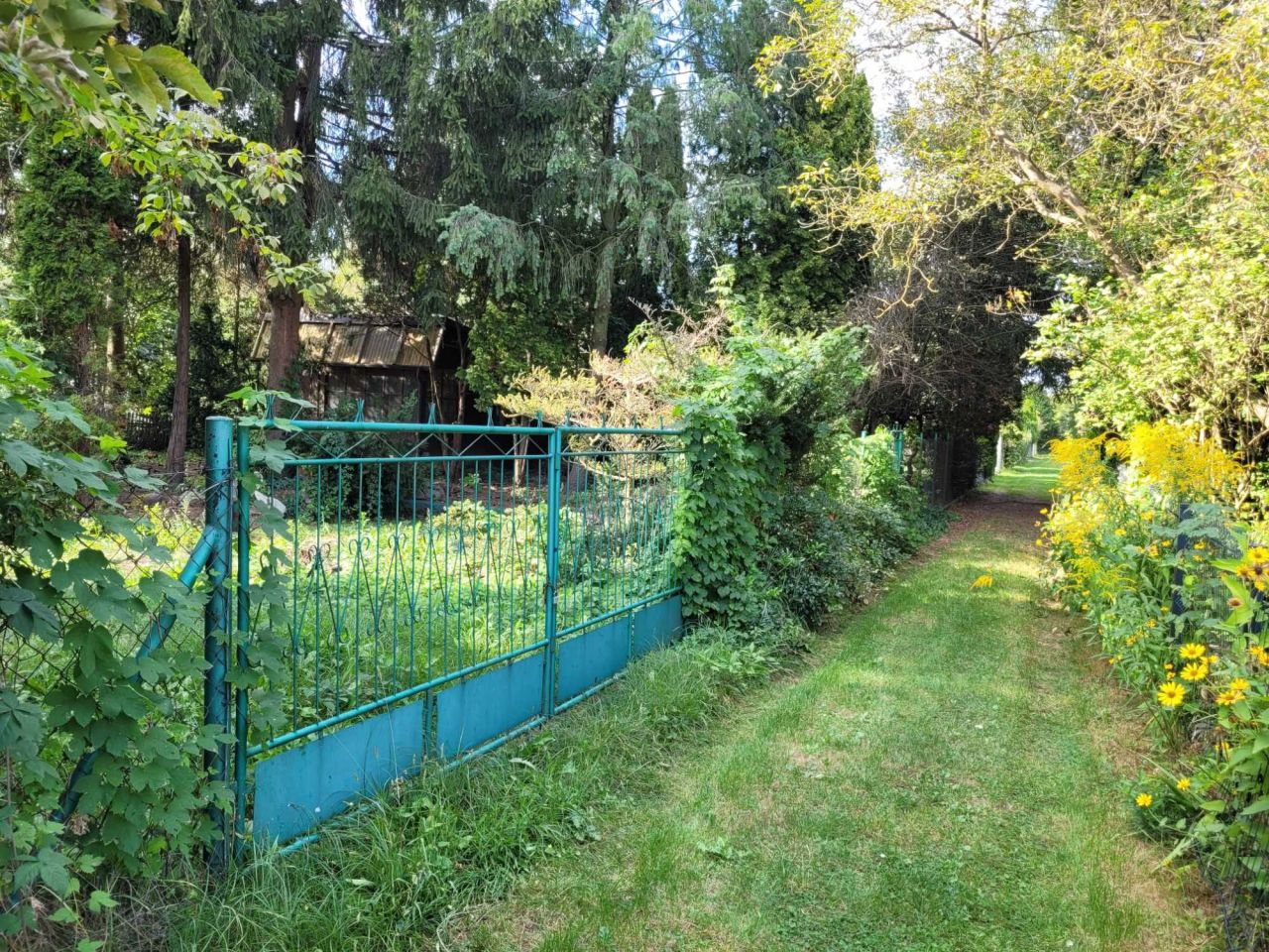 Działka rod Warszawa Mokotów. Zdjęcie 2