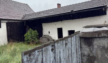 gospodarstwo Daniec