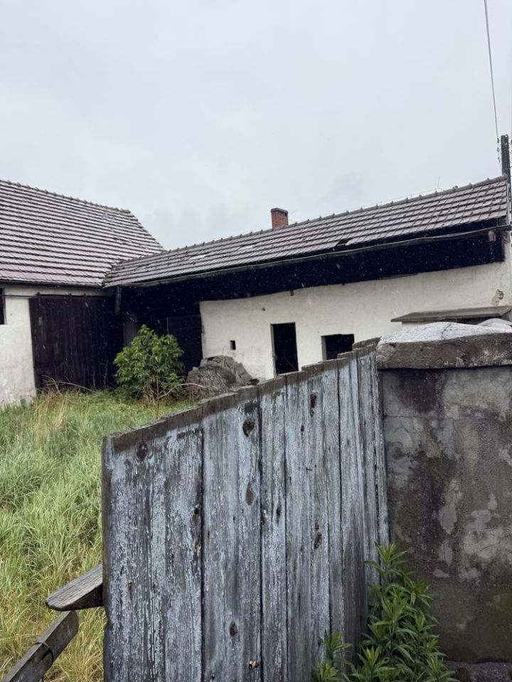 gospodarstwo Daniec. Zdjęcie 2