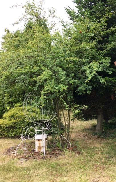 Działka rod Wrocław Stare Miasto, ul. Góralska. Zdjęcie 13