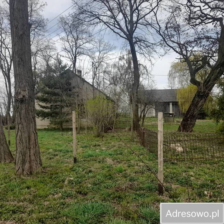 Działka siedliskowa Stare Święcice Nowe Święcice. Zdjęcie 7