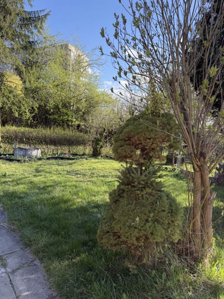 Działka rod Zabrze. Zdjęcie 6