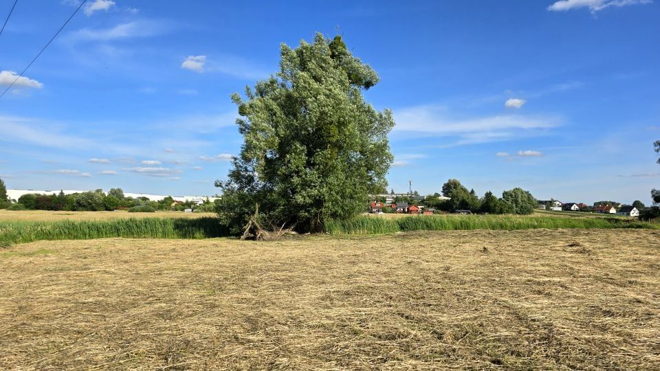 Działka rekreacyjna Iława, ul. Lipowy Dwór. Zdjęcie 5