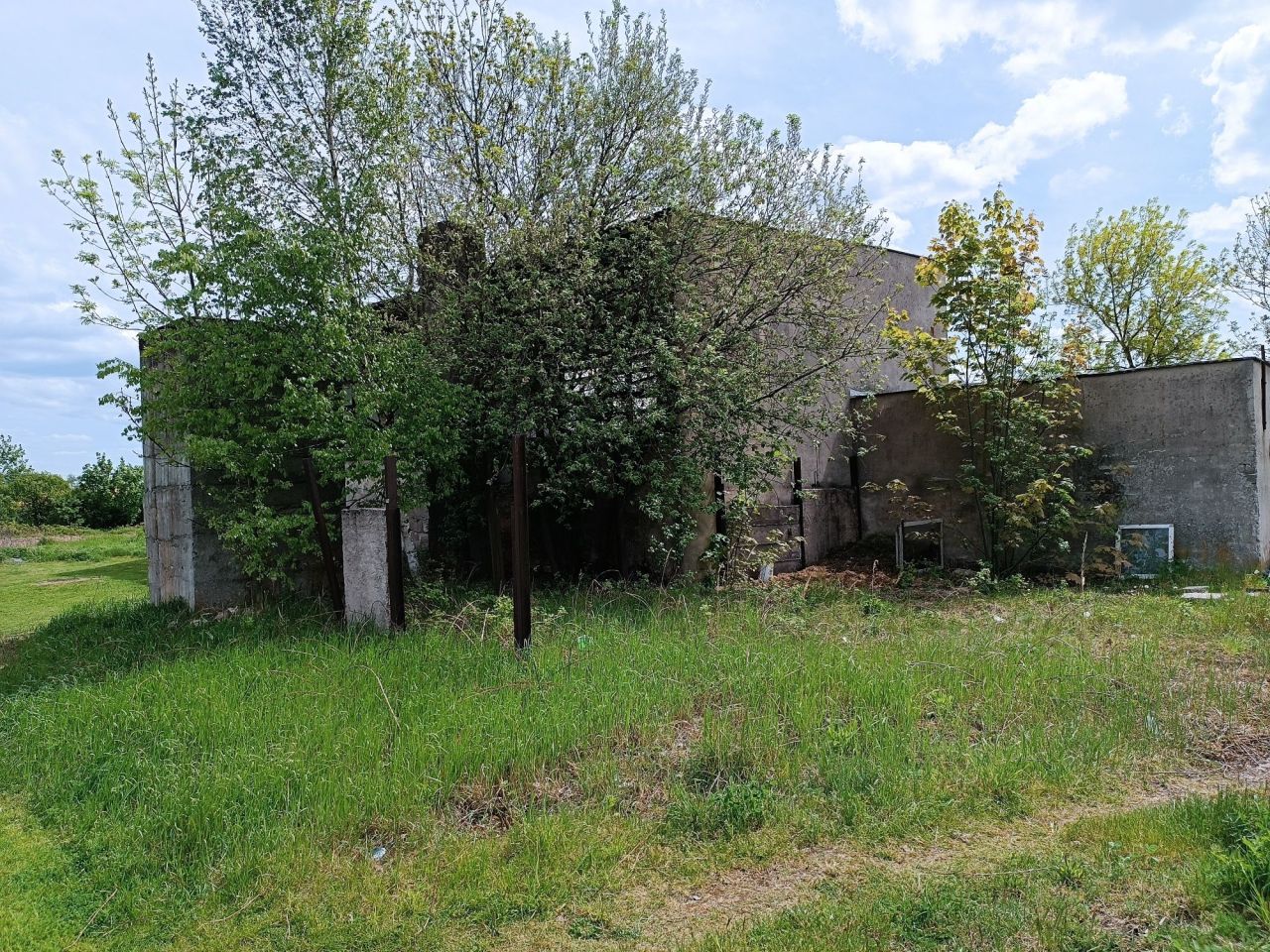 Działka inwestycyjna Bogusławice. Zdjęcie 6