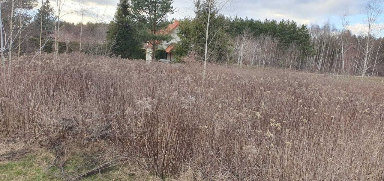Działka budowlana Popowo-Parcele, ul. Widokowa. Zdjęcie 7