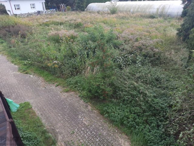 Działka budowlana Dobra, ul. Szczecińska. Zdjęcie 2