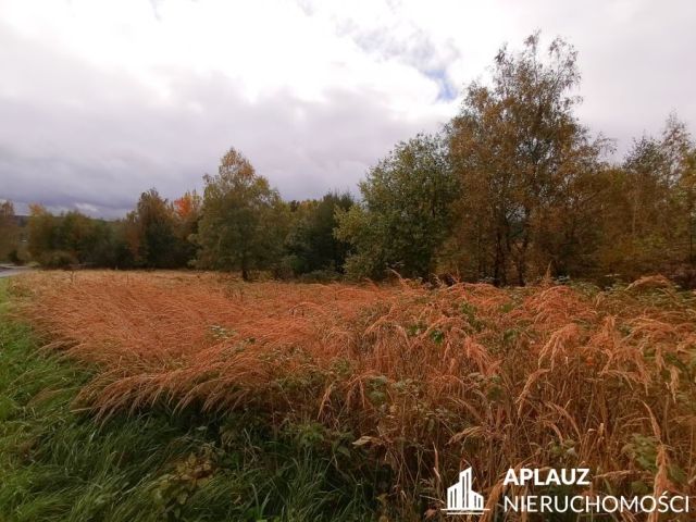 Działka rolna Antoniów. Zdjęcie 2