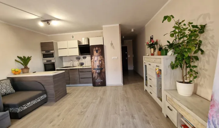 Mieszkanie 1-pokojowe Żarów, ul. Bolesława Krzywoustego