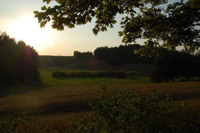 Działka rolno-budowlana Rychnowska Wola. Zdjęcie 5
