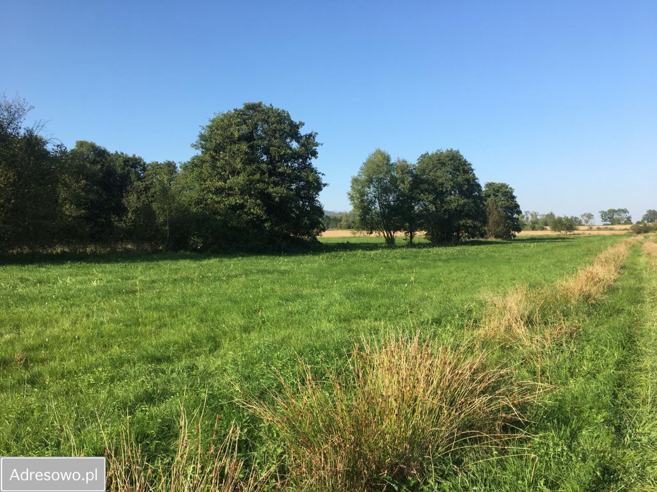 Działka budowlana Pisarzowice. Zdjęcie 2