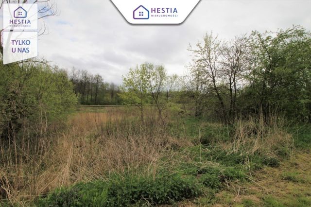 Działka budowlana Kąkolewice. Zdjęcie 5