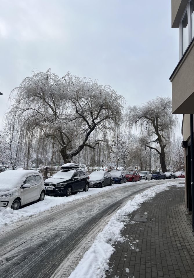 Mieszkanie 1-pokojowe Bielsko-Biała Śródmieście, ul. Bohaterów Warszawy. Zdjęcie 2