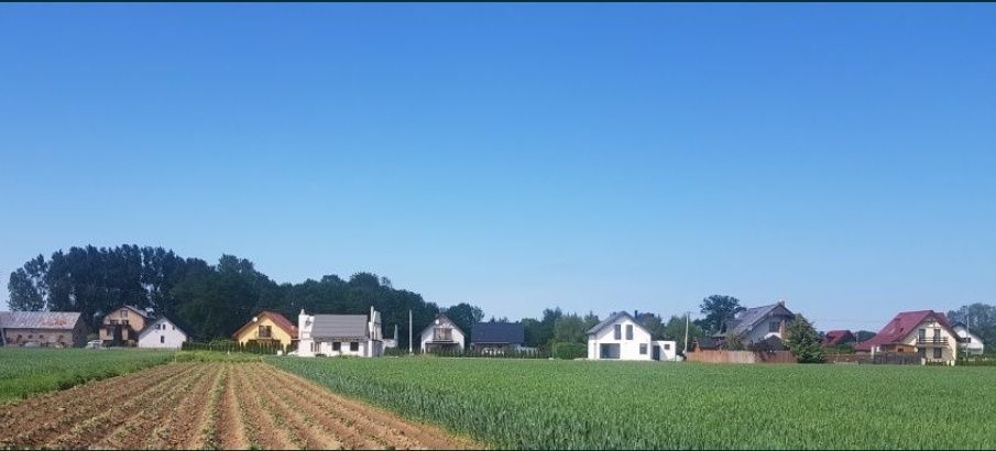 Działka rolno-budowlana Stegna. Zdjęcie 6