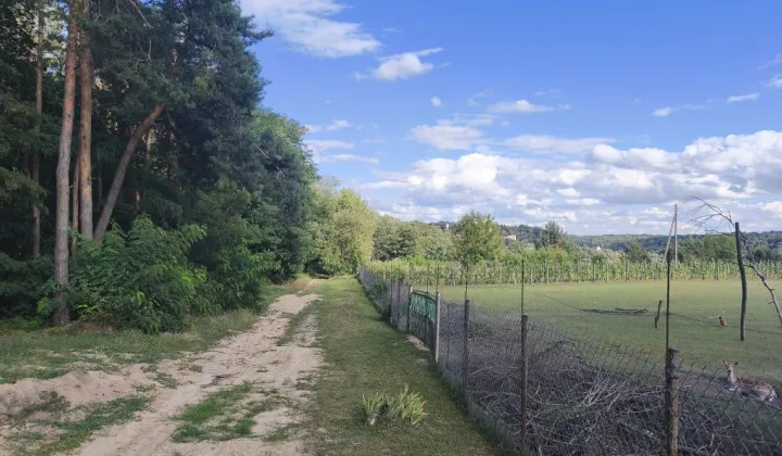 Działka leśna Oblasy
