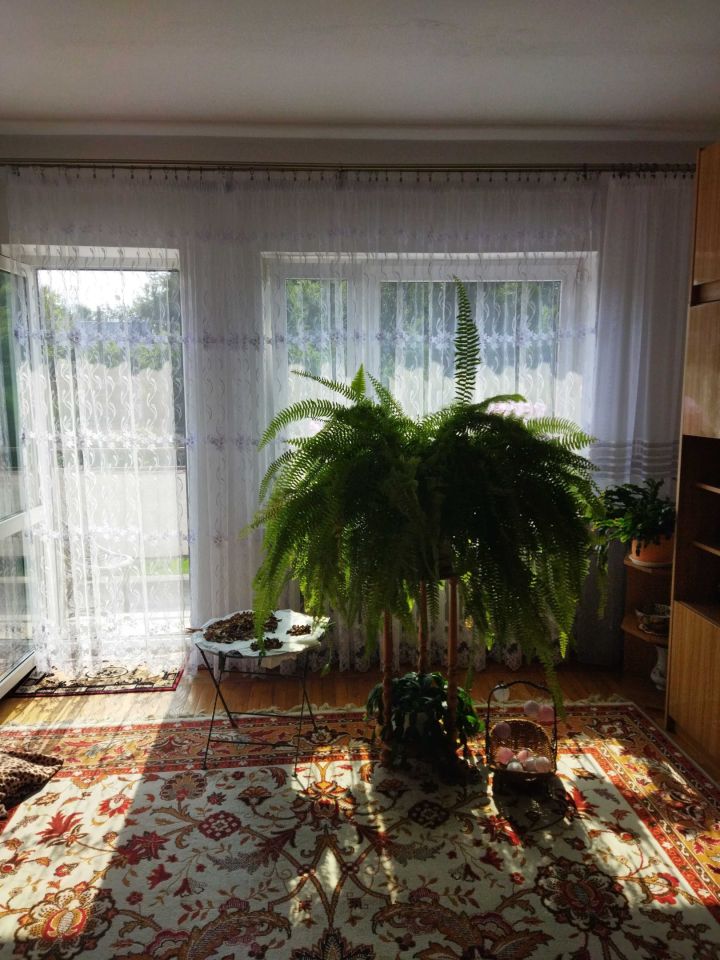 dom wolnostojący Żółwin. Zdjęcie 5