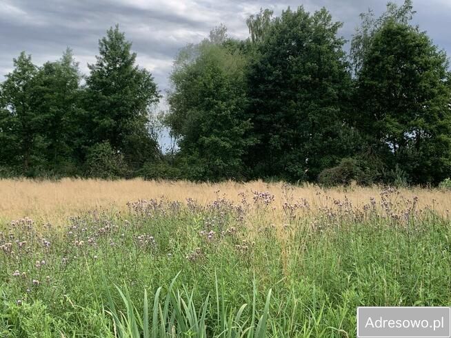 Działka leśna Garki. Zdjęcie 12