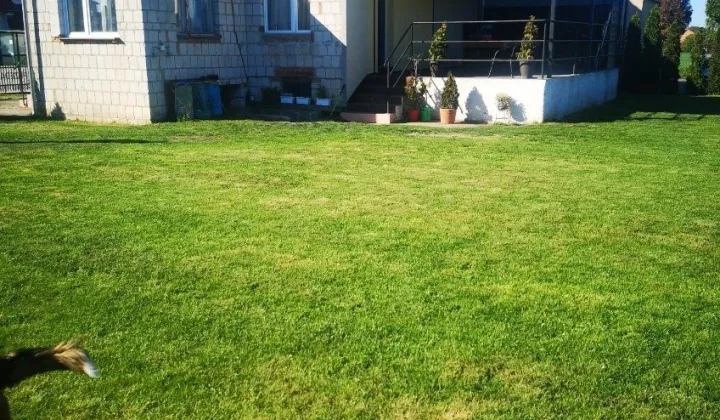 bliźniak Kokoszczyn