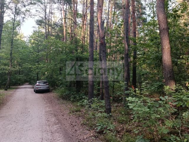 Działka budowlana Władysławów. Zdjęcie 1