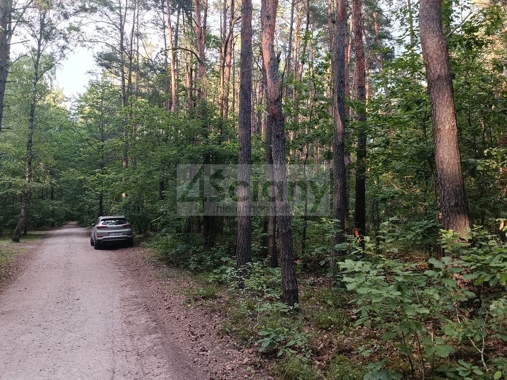 Działka budowlana Władysławów