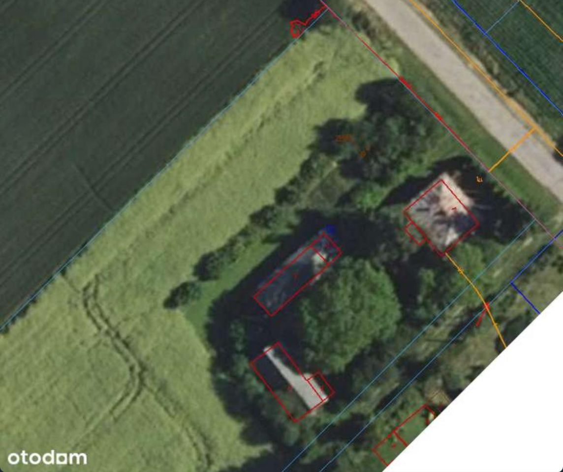 Działka siedliskowa Żabcze. Zdjęcie 12