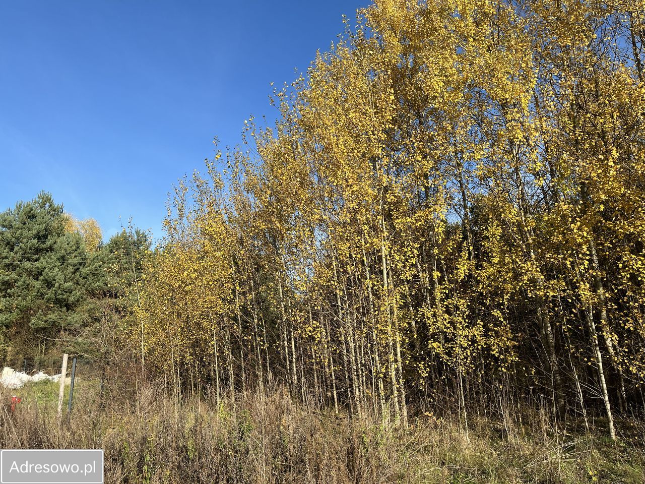 Działka budowlana Owczegłowy. Zdjęcie 11