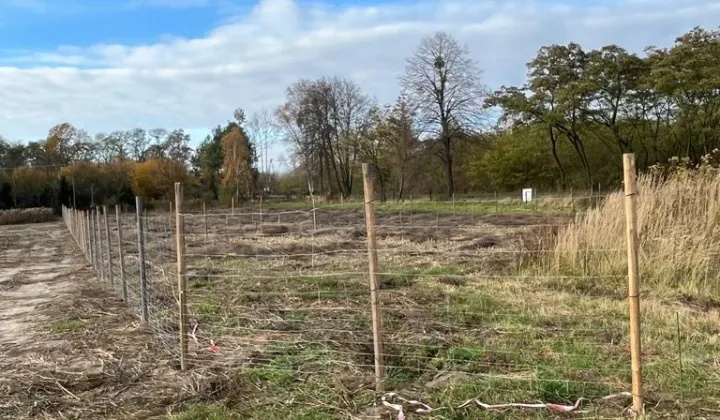 Działka rolno-budowlana Podkampinos